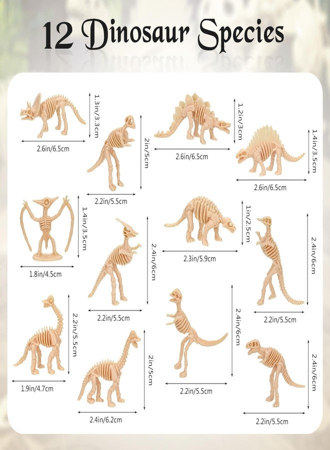 VICROIC 60 PCS Dinosaur Fossil Skeletons, Assorted Dinosaur Skeleton Toys Figures for Science Play Dino Sand Dig Party Favor Decorations - Image 2